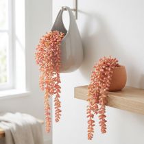 Artikel Sedum 'Rubin' hængeplante – dekorativ, letplejelig sukkulent 43 cm 3 stk.