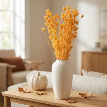 Artikel Tørret Nigella-blomsterarrangement til langvarig brug. Elegant blikfang. 70 cm 50 g