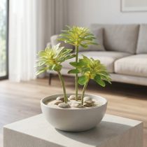 Artikel Sukkulent kunstig plante med pick Aeonium Green 30cm 4 stk