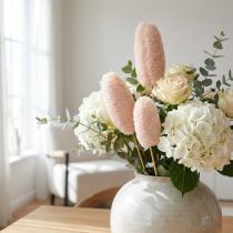 Artikel Stor loofah på pind, bleget, 25 stk