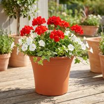 Artikel Potte “Irys” plast terracotta Ø22cm H18cm 1 stk