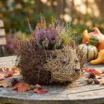 Artikel Pindsvinepotte lavet af slyngplanter 22 cm x 25 cm