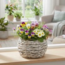 Artikel Blomsterkurv hvid rustik urtepotte Ø17cm H11cm dekoration