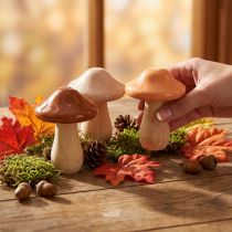 Artikel Dekorative træsvampe, brune, beige, orange, Ø7,5 cm, H10 cm, 3 stk.