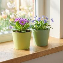 Artikel Papirpotte, mini plantepotte, cachepot blå/grøn Ø9cm H7,5cm 4stk