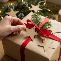 Artikel Gavemærker julebrunt stjernepapir Ø5,5cm 100p