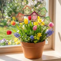Artikel Blomsterprop springhus sommerfugleblomst 8,5cm 12 stk