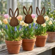 Artikel Blomsterprop rust kanin dekoration 7,5cm×11,5cm 6 stk
