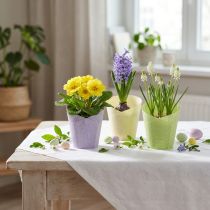 Artikel Plantekrukke vævet plantepapir grøn, gul, lilla Ø7cm H13cm 12stk
