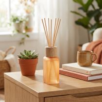 Artikel Rumduft diffuser glas ingefær Camila duftpinde 100ml