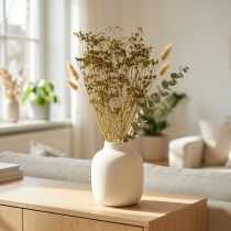 Artikel Tørrede blomster Ægte kommengrøn dekoration 55 cm bundt 5 stk – Tørrede dekorationer og kunstige blomster