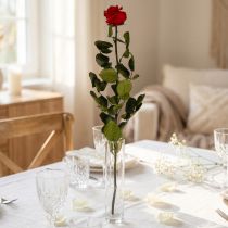 Artikel Infinity Rose med blade bevaret Amorosa Rød L54cm