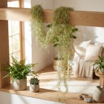 Artikel Tillandsia dekorativt hængende Tillandsia kunstgrøn hvid 180cm