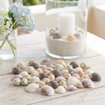 Artikel Skaldekoration mini hjertemuslinger sneglehuse 1-3cm 340g