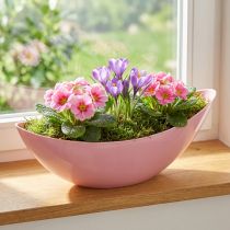 Artikel Plantebåd plast blomsterskål pink 28×9×9cm 3stk