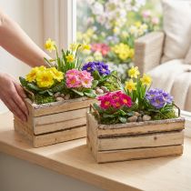 Artikel Træplantekasse med naturlig bark og håndtag, L 29 cm/23 cm, sæt med 2.