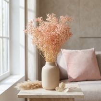 Artikel Gypsophila Dekoration Orange Tørrede Græsser Fersken 65-70cm 100g