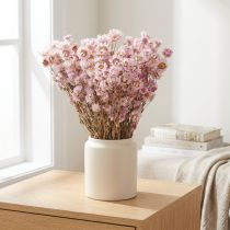 Artikel Tørrede blomster bundt tør dekoration Kamille Pink 65cm 50g