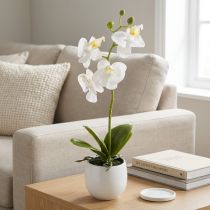 Artikel Hvide kunstige orkidéblomster i potte Phalaenopsis H33cm