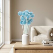 Artikel Craspedia tørrede blomsterdekoration til vase, minimalistisk stil, langvarig sommerdekoration, 55 cm, 20 stk.