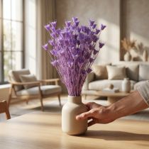 Artikel Tørrede Nigella-blomsterbuket, dekorativ brug i stuen, skaber en unik atmosfære, 70 cm, 50 g