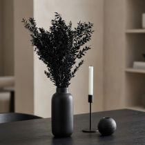 Artikel Ruscus-grene, dekorative grene, tørrede blomster, sorte – 2. valg – 200 g