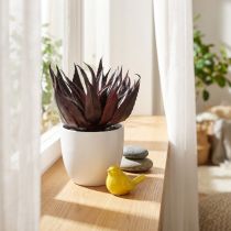 Artikel Kunstig Aloe Vera Plante i Potte Dekorativ Plante Grøn H20cm