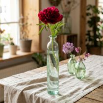 Artikel Flaskedekorationsvase Glas Klar/Grøn Retro Ø6,5cm H30cm