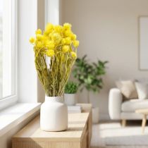 Artikel Tørrede blomster Hatblomster Gule jordbærblomster H42cm