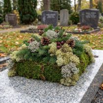 Artikel Dekorativ mos – ægte mos og lav til blomsterarrangementer 250 g