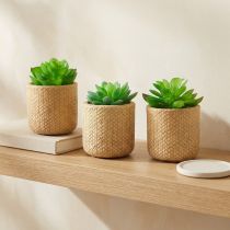 Artikel Kunstige sukkulenter i potte Kunstige planter Assorteret 10cm 3stk