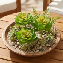 Artikel Echeveria Kunstige Sukkulenter Grøn Ø7cm 6 stk