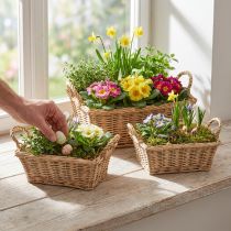 Artikel Plantekurv rektangulær flet natur 39/33/27 cm sæt med 3