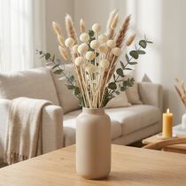 Artikel Craspedia tørrede trommestikker creme 45-55cm 20 stk