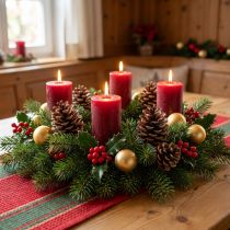 Artikel Pinus Pinea Ægte kogler Stor Naturfyr H10-12cm 50 stk