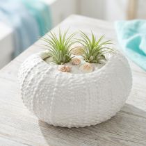 Artikel Dekorativ skål keramik maritim oval i hvid 19x15x8,5cm