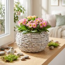Artikel Hvidvasket rund plantekurv Ø22cm H13cm blomsterpottedekoration