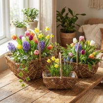Artikel Håndtagskurv rektangulær natur 34×26/29×20/24×15cm sæt med 3