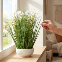 Artikel Dekorativt græs med Cosmea blomster i en skål H45cm