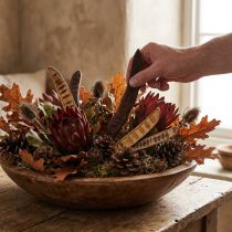 Artikel Scaletta pod naturlig 25cm - 50cm 25 stk