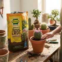 Artikel FRUX Soil Kaktusjord og Bonsaijord 5L
