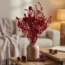 Artikel Tørret blomsterbuket, vinrød, dekorativ tidsel, 40 cm, 80 g