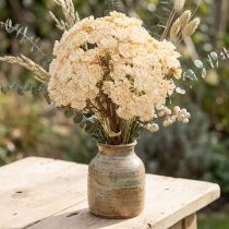 Artikel Kunstig røllikecreme Achillea kunstige blomster 30 cm 6 stk