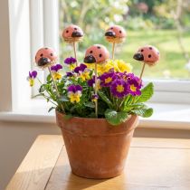 Artikel Mariehøne dekorative blomsterpropper træfarvet 3,5cm 24 stk