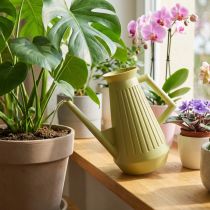Artikel Indendørs vandkande, olivengrøn, retrostil, 24,5 cm, 1,8 l, designervandkande, plastik, plantevanding