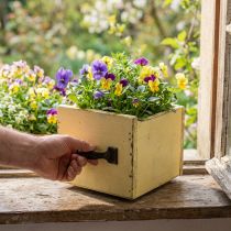Artikel Lurvet dekorativ skuffe til plantning af gult træ 12,5×12,5×10cm