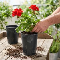 Artikel Plantepotte plast antracit Ø13cm H16,5cm 4stk