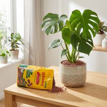 Artikel Seramis plantegranulat til stueplanter 2,5l