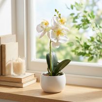 Artikel Kunstige orkideer i potte hvide miniorkideer Ø7cm H22cm