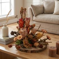 Artikel Tørrede eksotiske protea-kogler Bellgum 24-48 cm 580 g - Kunstig blomsterdekoration Sydafrika